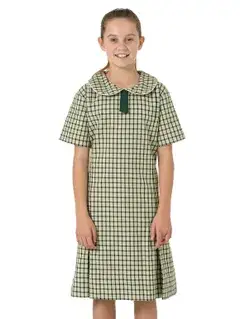 Bottle & Gold Check Dress | Beare & Ley | Dresses | Lowes